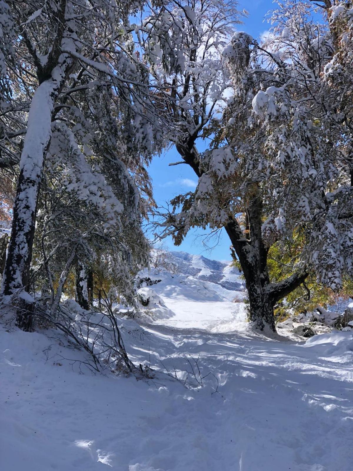 Cabana El Maqui San Martín de los Andes 外观 照片